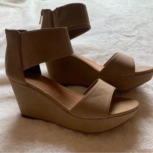 Ankle Strap Wedges